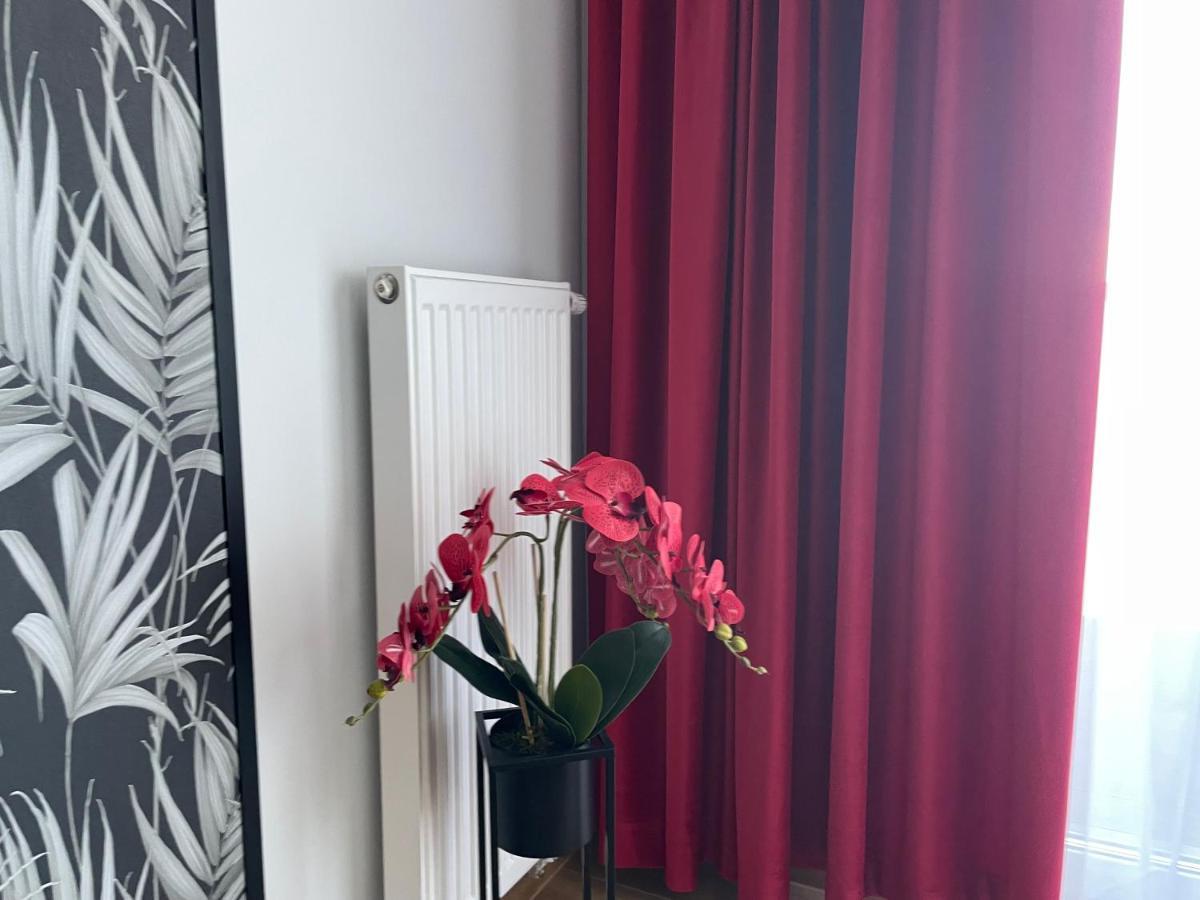 קולובז'ג Apartament Kasprowicza מראה חיצוני תמונה